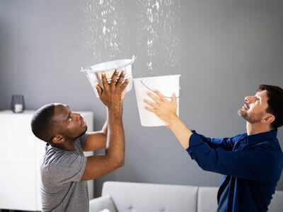About Gardendale Black Mold Removal - black mold removal experts in Gardendale